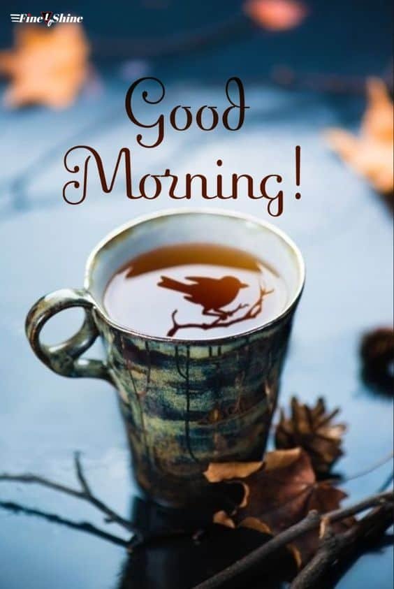 Good Morning Wallpaper