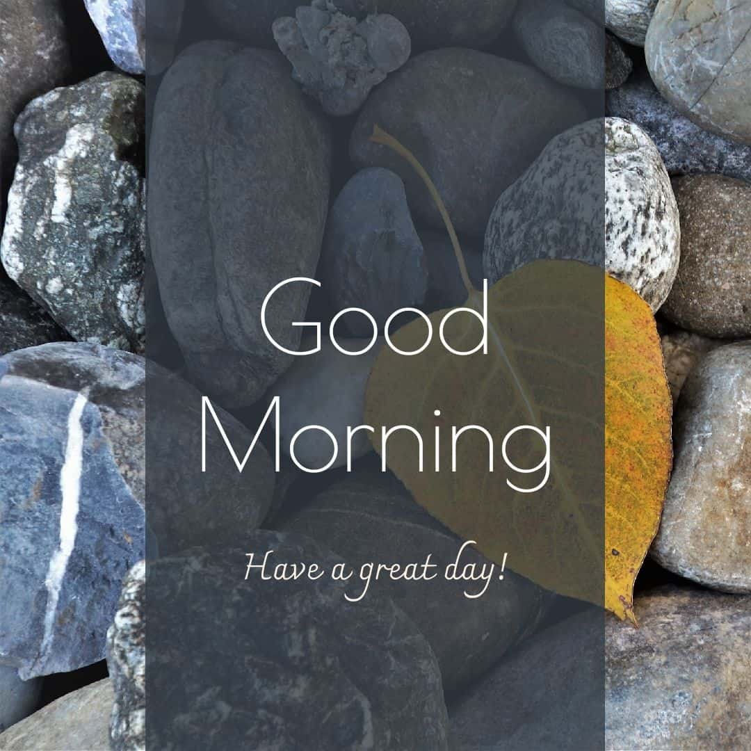 Good Morning Wallpaper