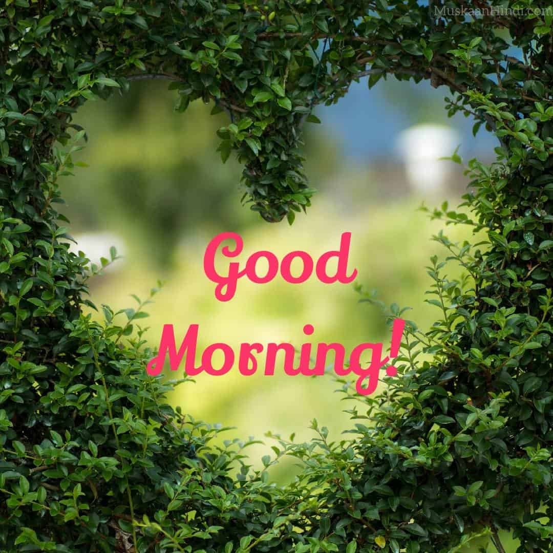Good Morning Wallpaper