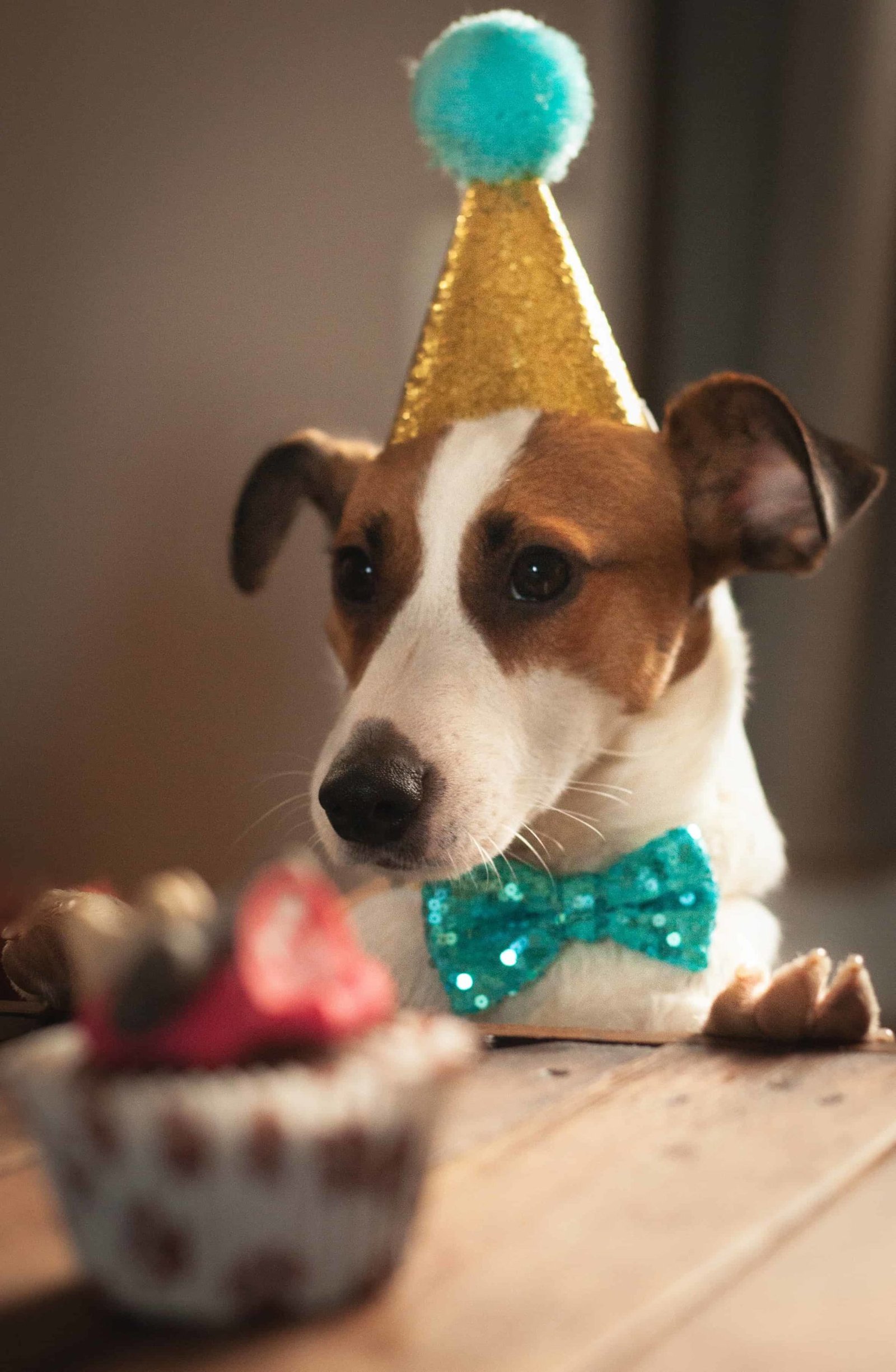 Happy Birthday Photos