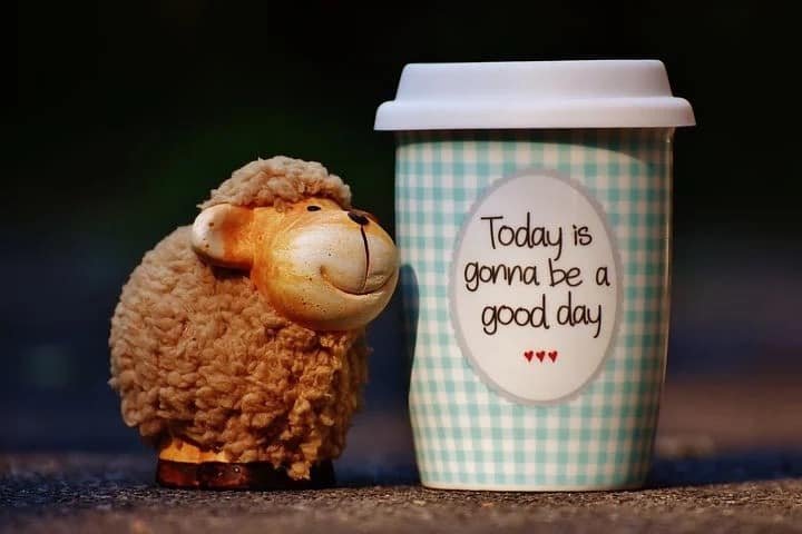 Be Happy DP