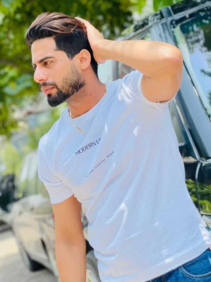 Singga Wallpaper