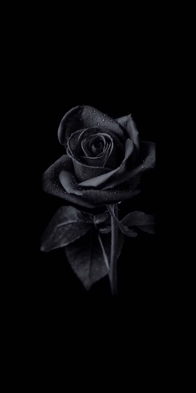 Black DP for Instagram