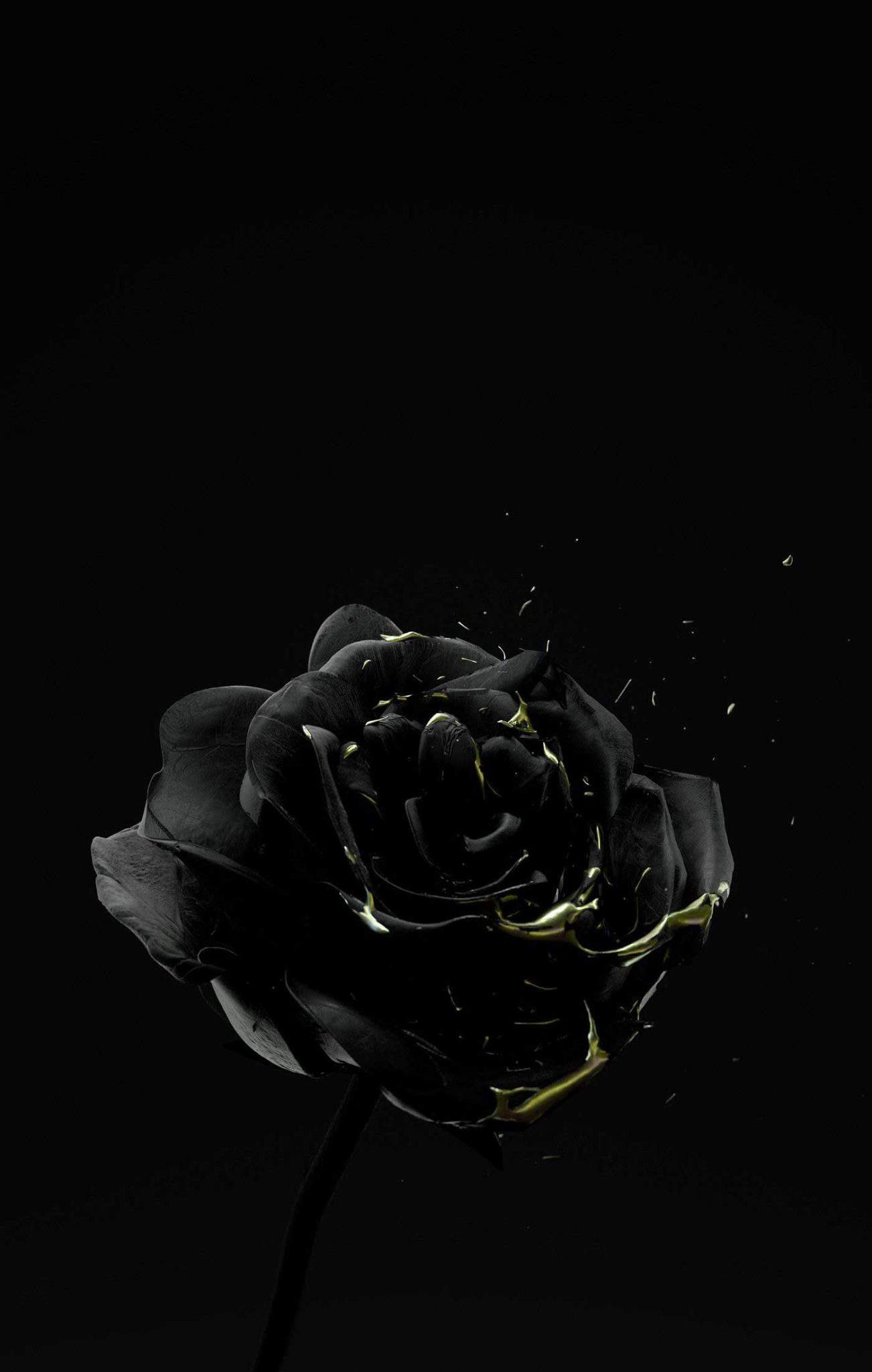 Black DP HD