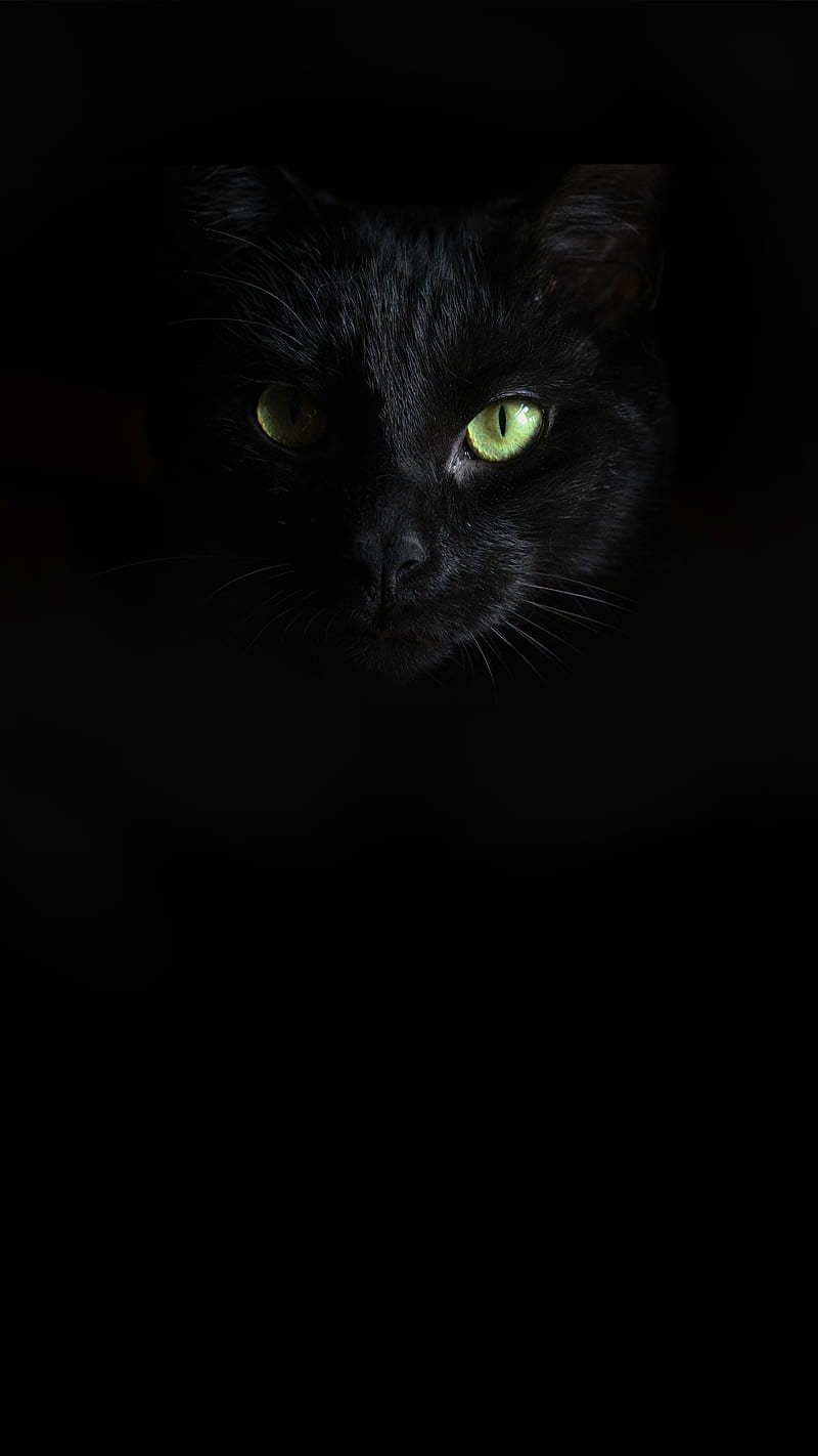 Stylish Black DP for Whatsapp