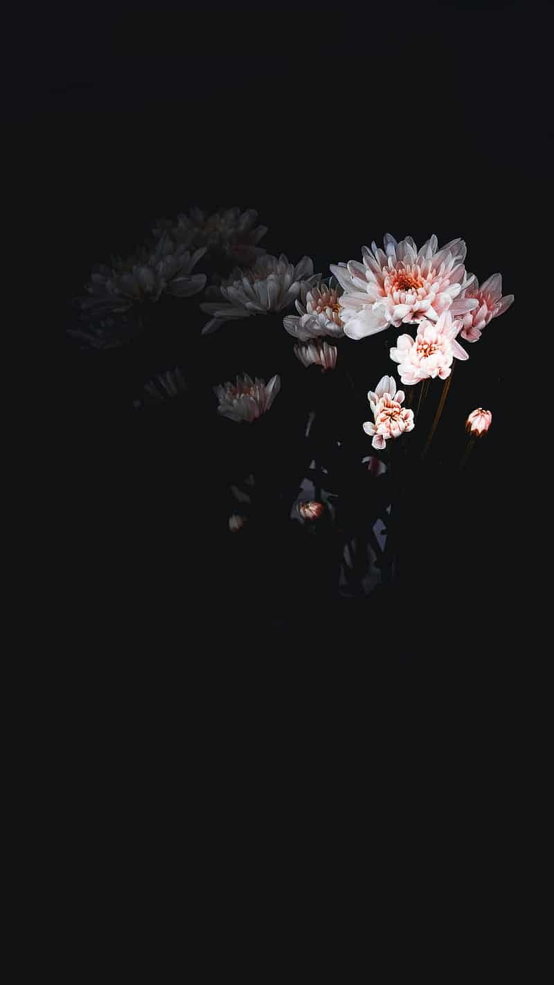 Black Whatsapp DP