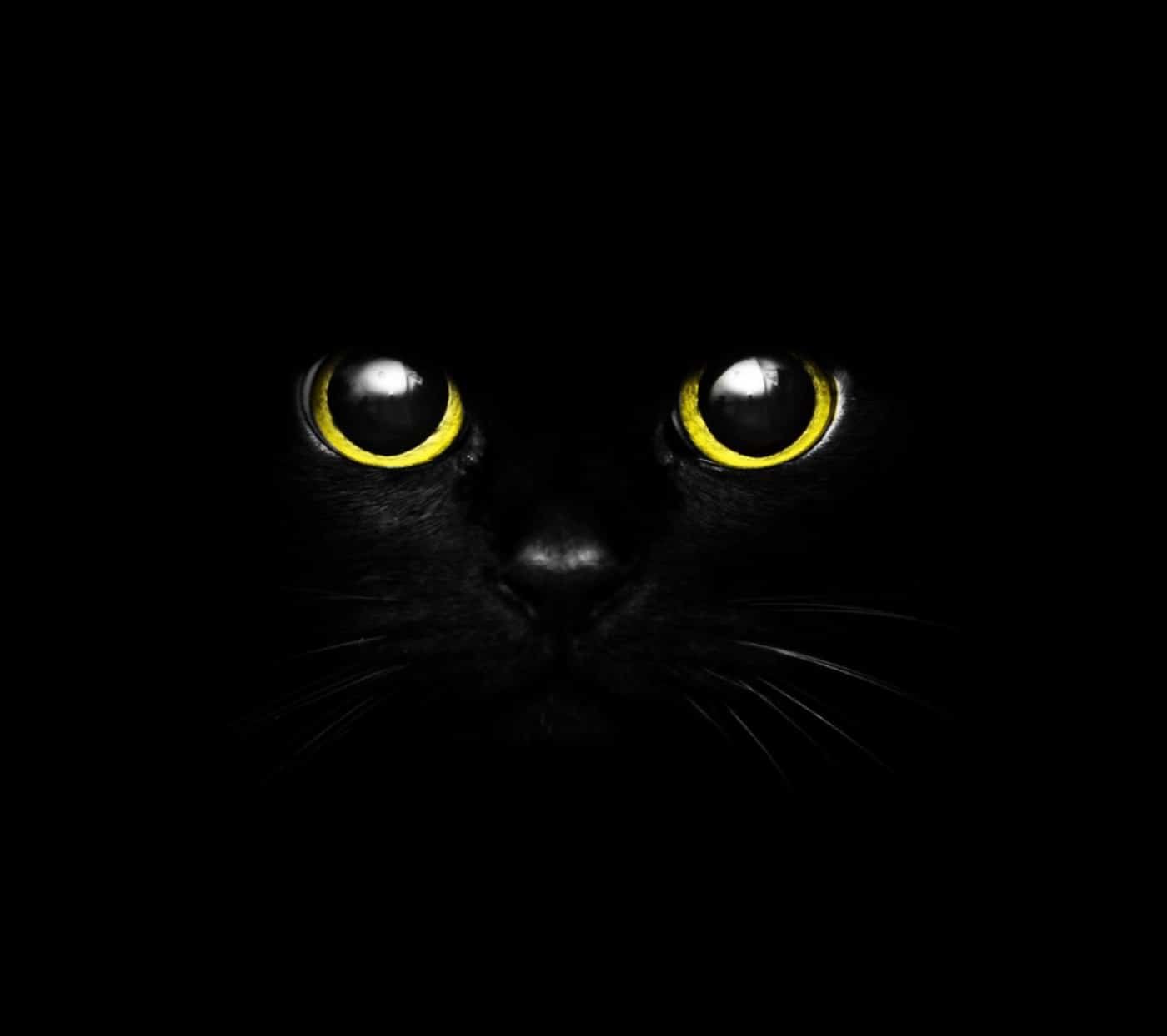 Black DP