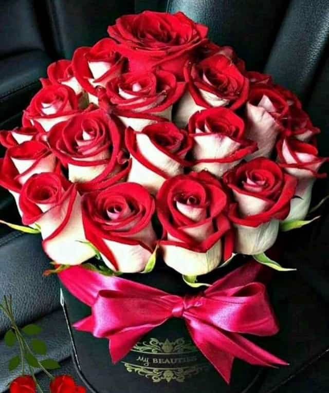 Flowers DP