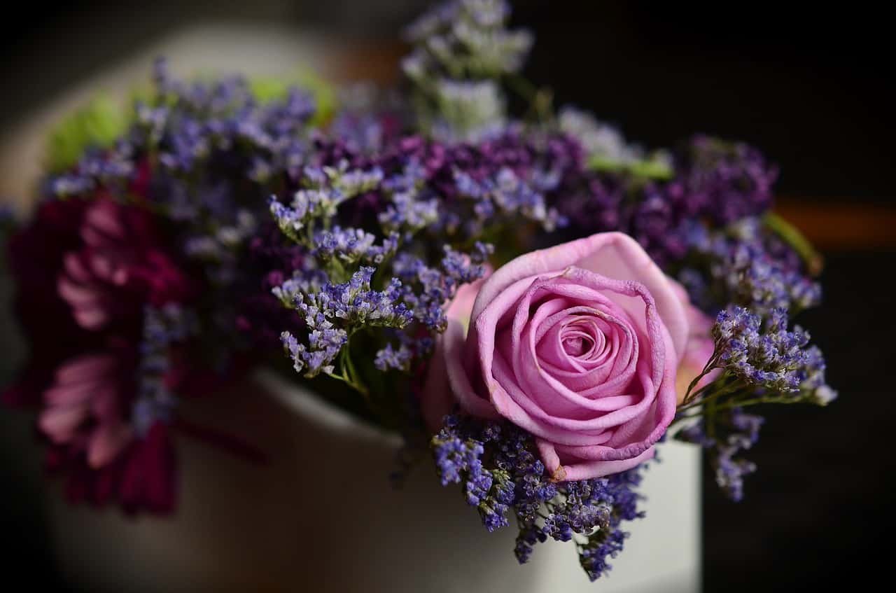 Beautiful Flower DP