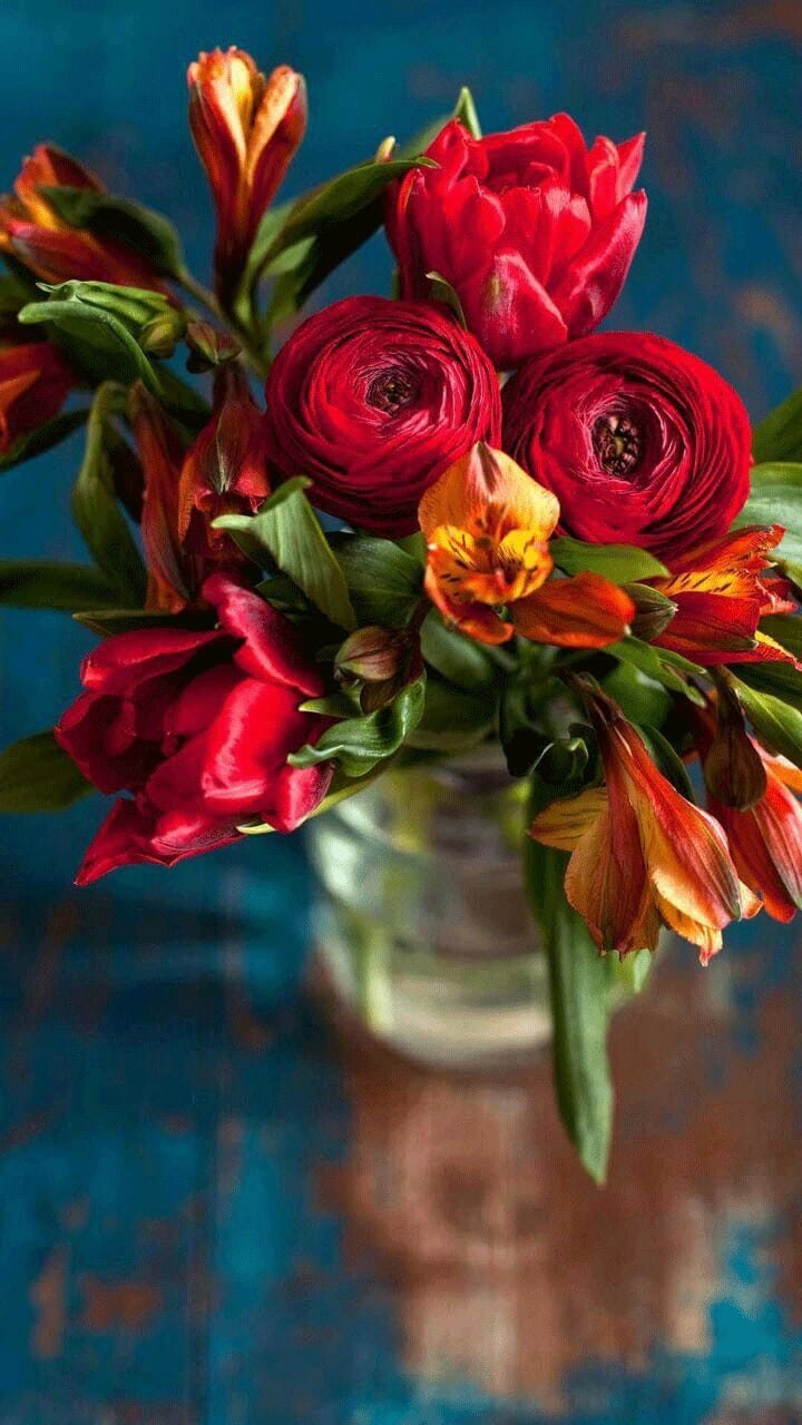 Flower DP for Whatsapp Profile