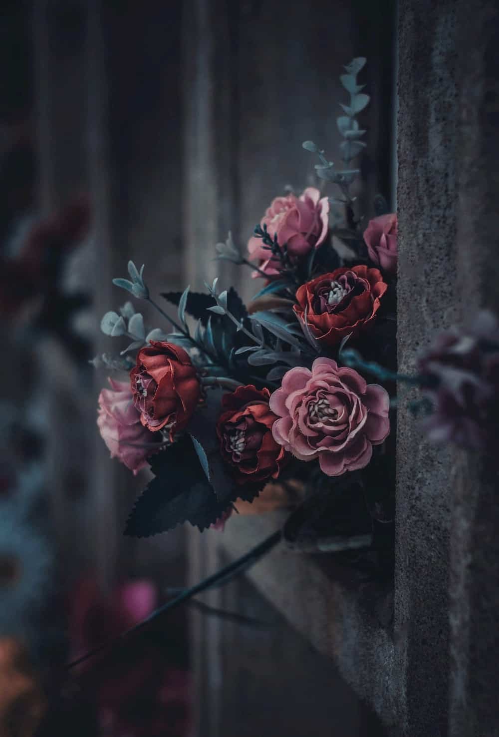Flower DP Pic