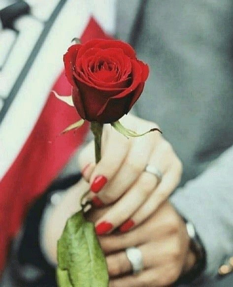 Flowers DP