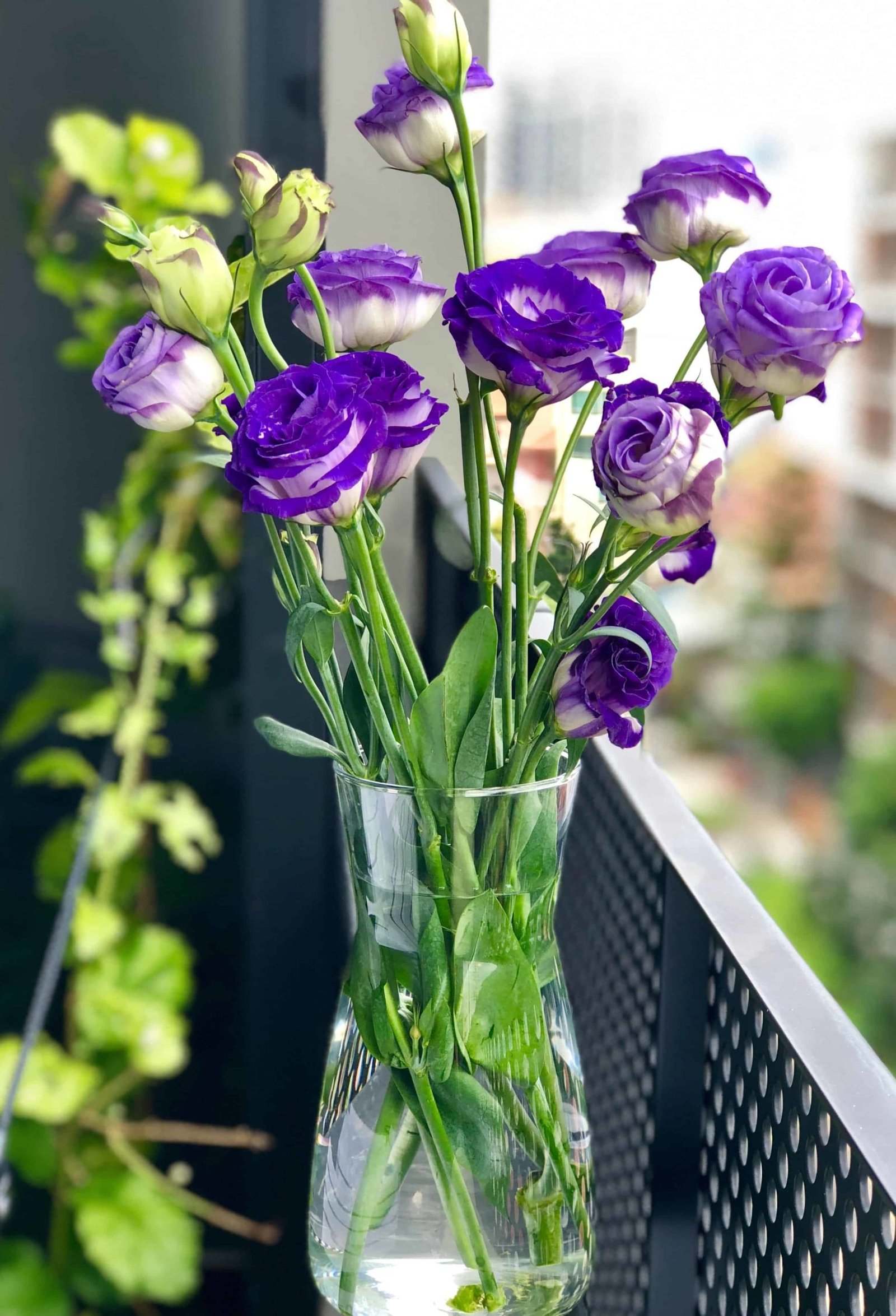 Flower DP Images