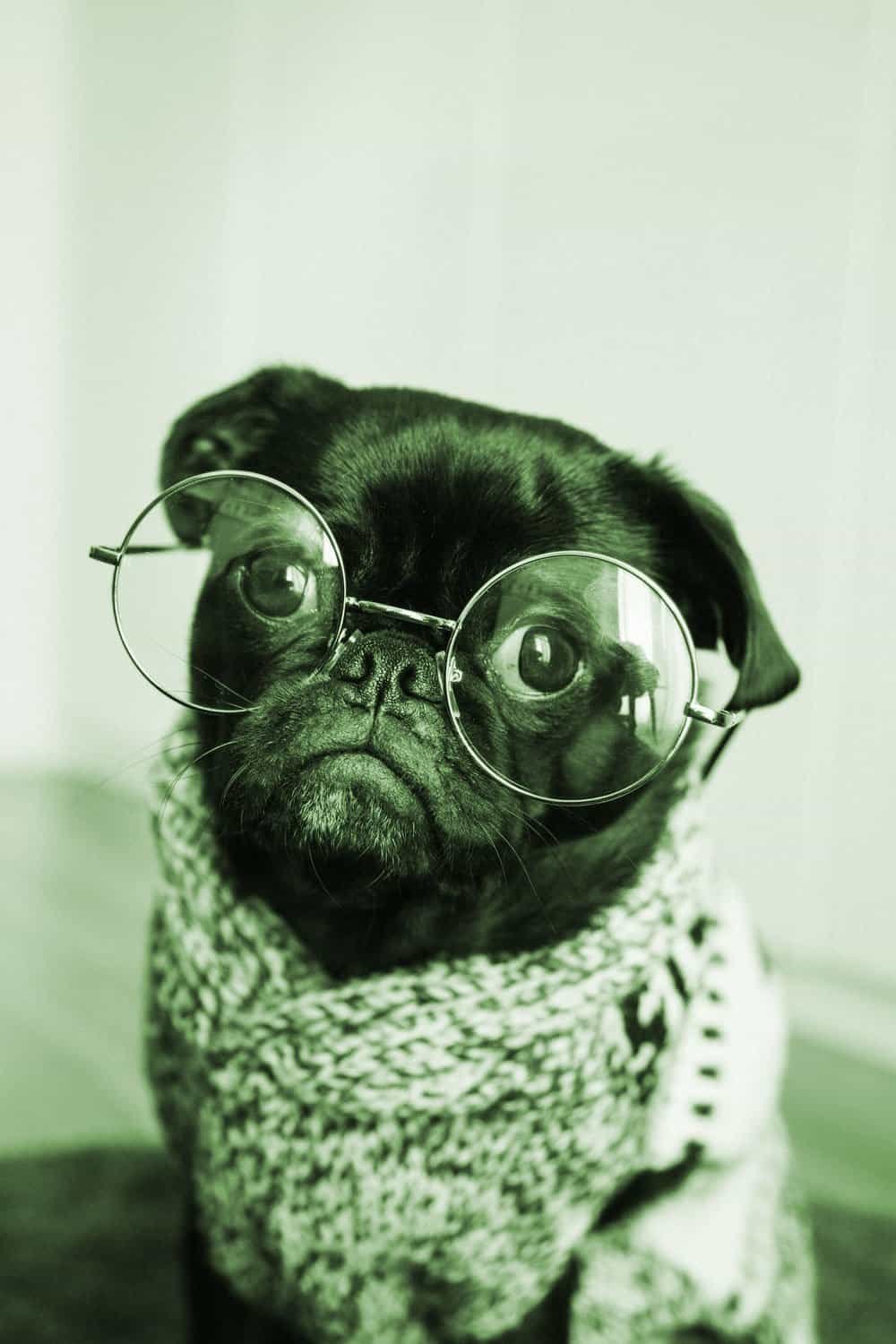 Funny DP Images