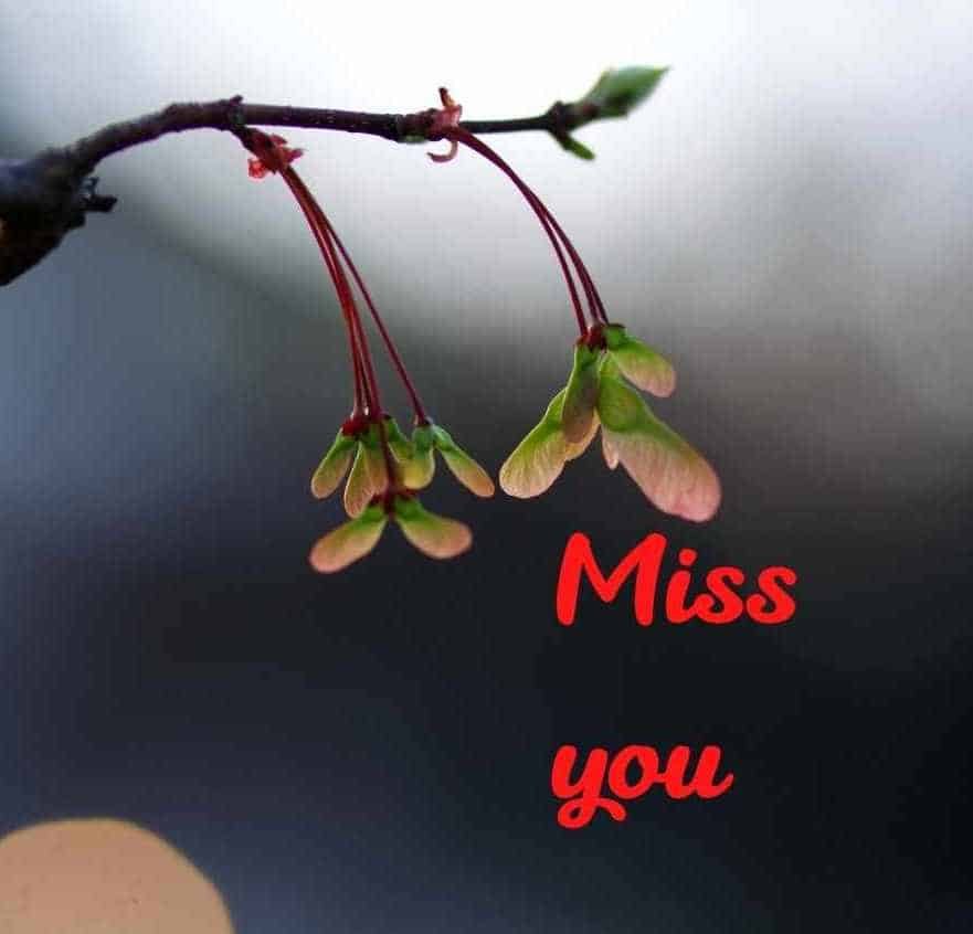 I Miss You Images