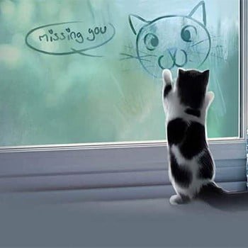 I Miss You Photo