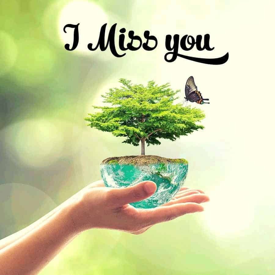 I Miss You Images