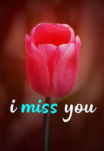 I Miss U Images