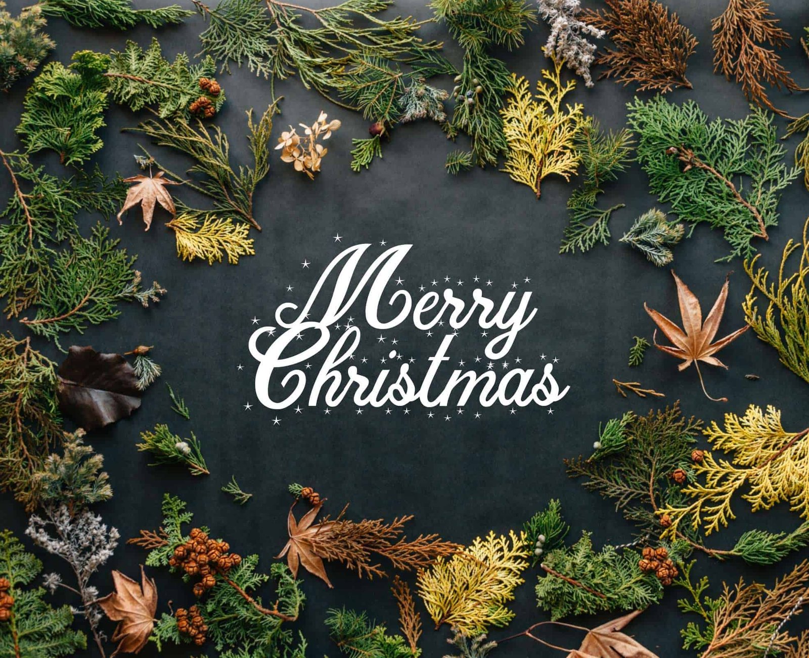 Beautiful Merry Christmas Images