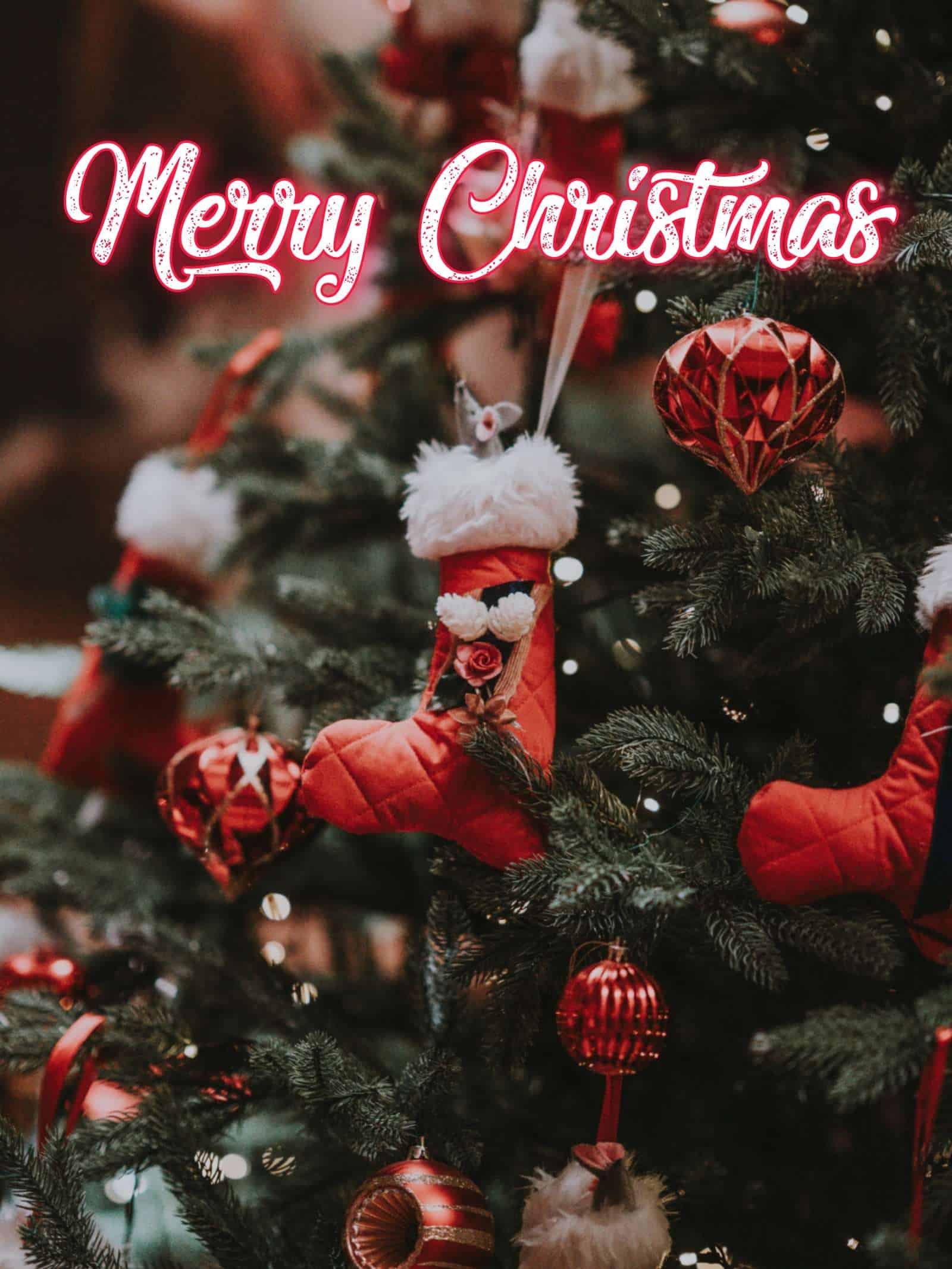 Happy Merry Christmas Images
