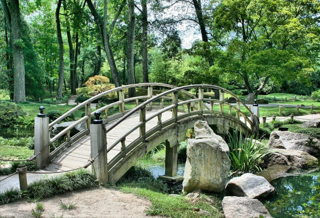 Nature DP