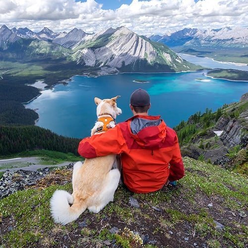 Nature DP for Whatsapp