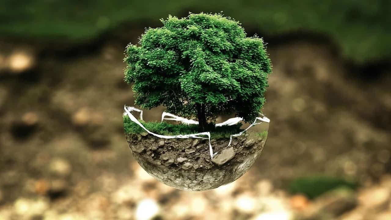 Nature DP for Whatsapp