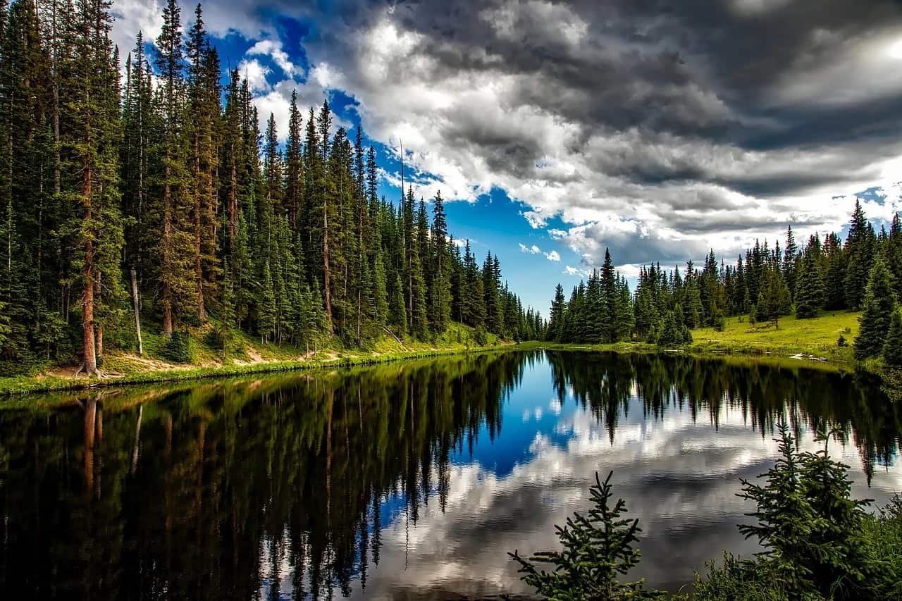 Nature DP for Instagram