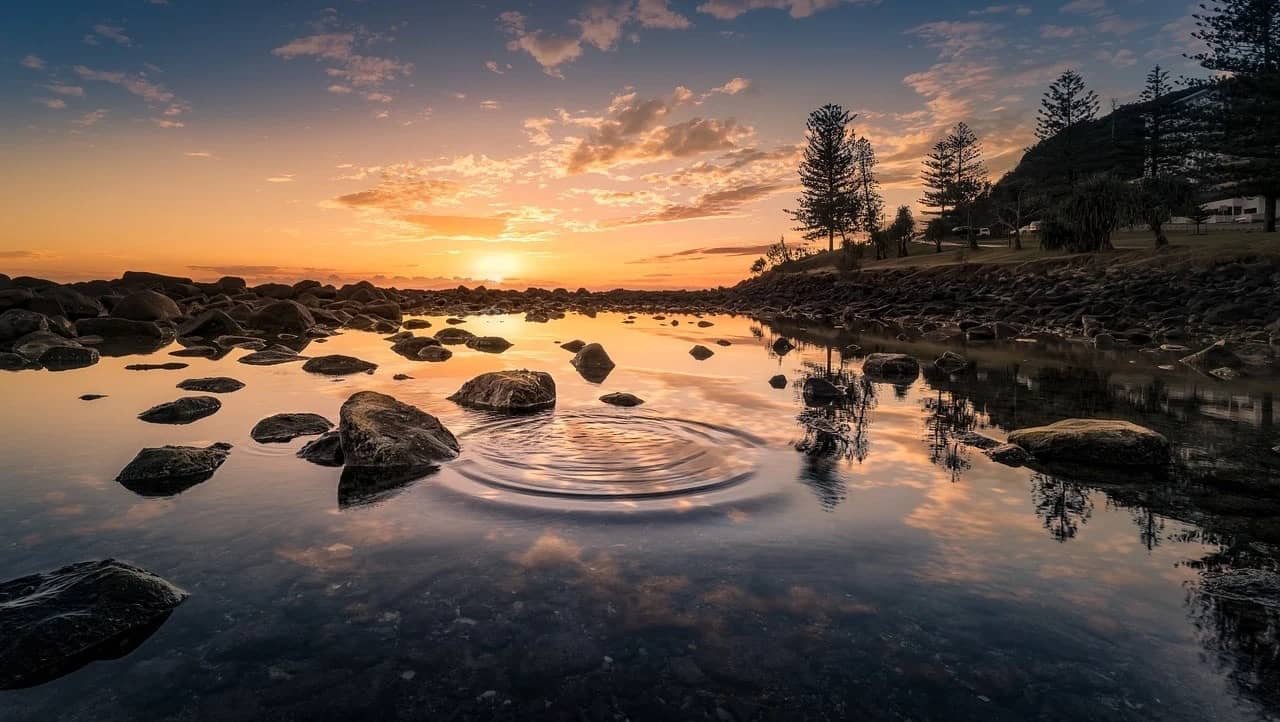 Nature DP for Instagram