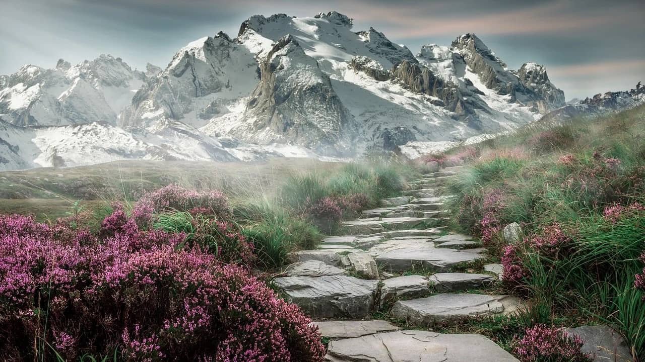 Nature Whatsapp DP
