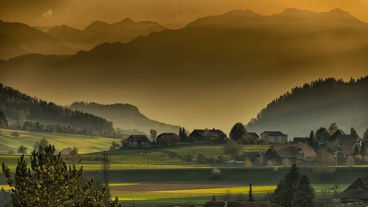 Nature Whatsapp DP
