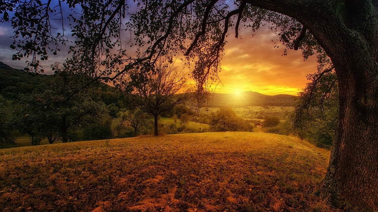 DP of Nature