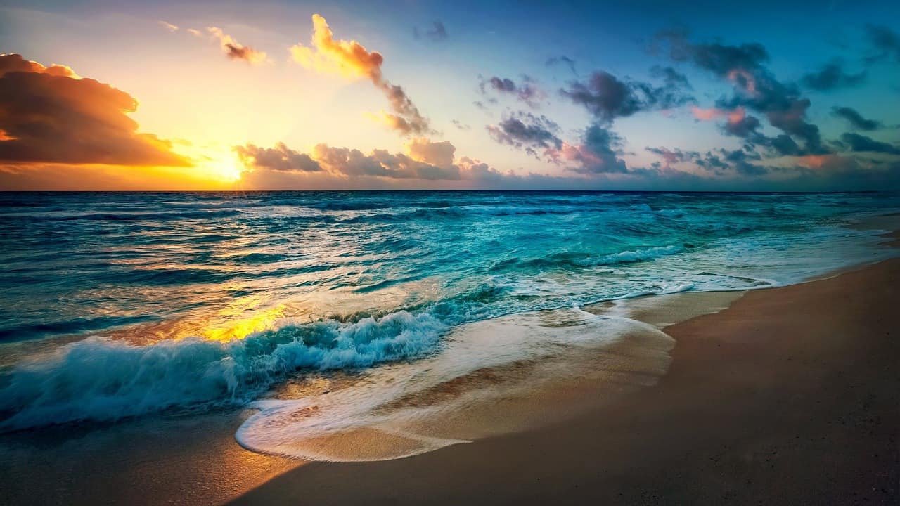 Nature DP