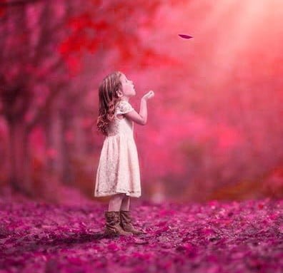 Nature DP HD
