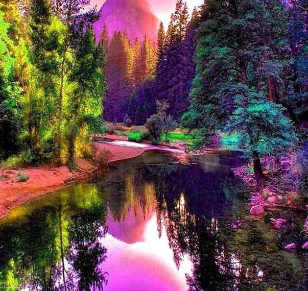 Nature DP HD