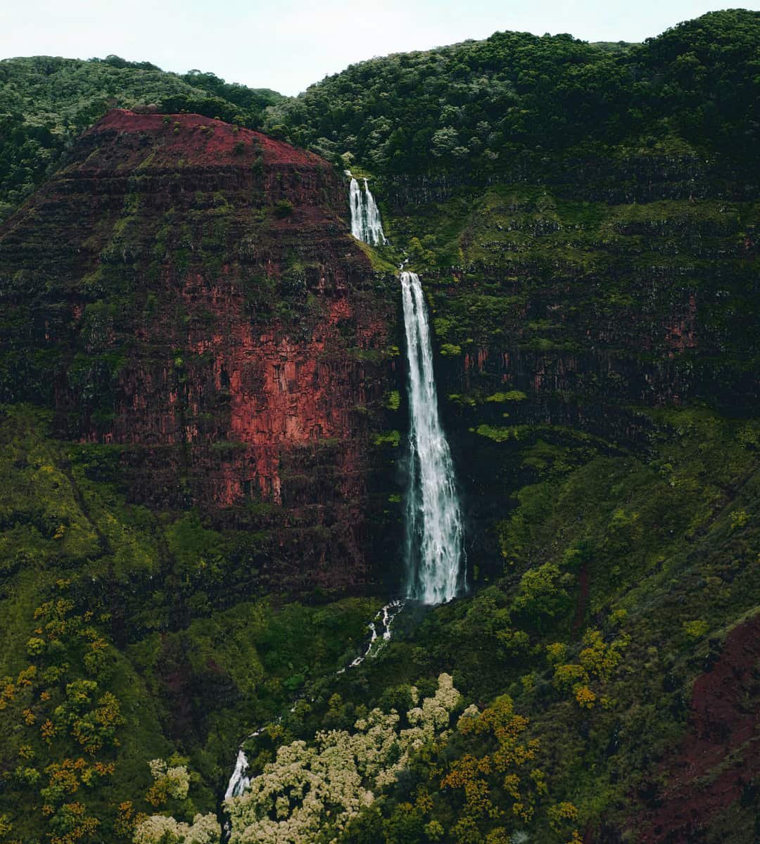 Nature DP HD