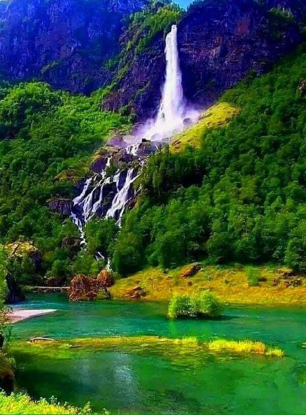 Nature DP
