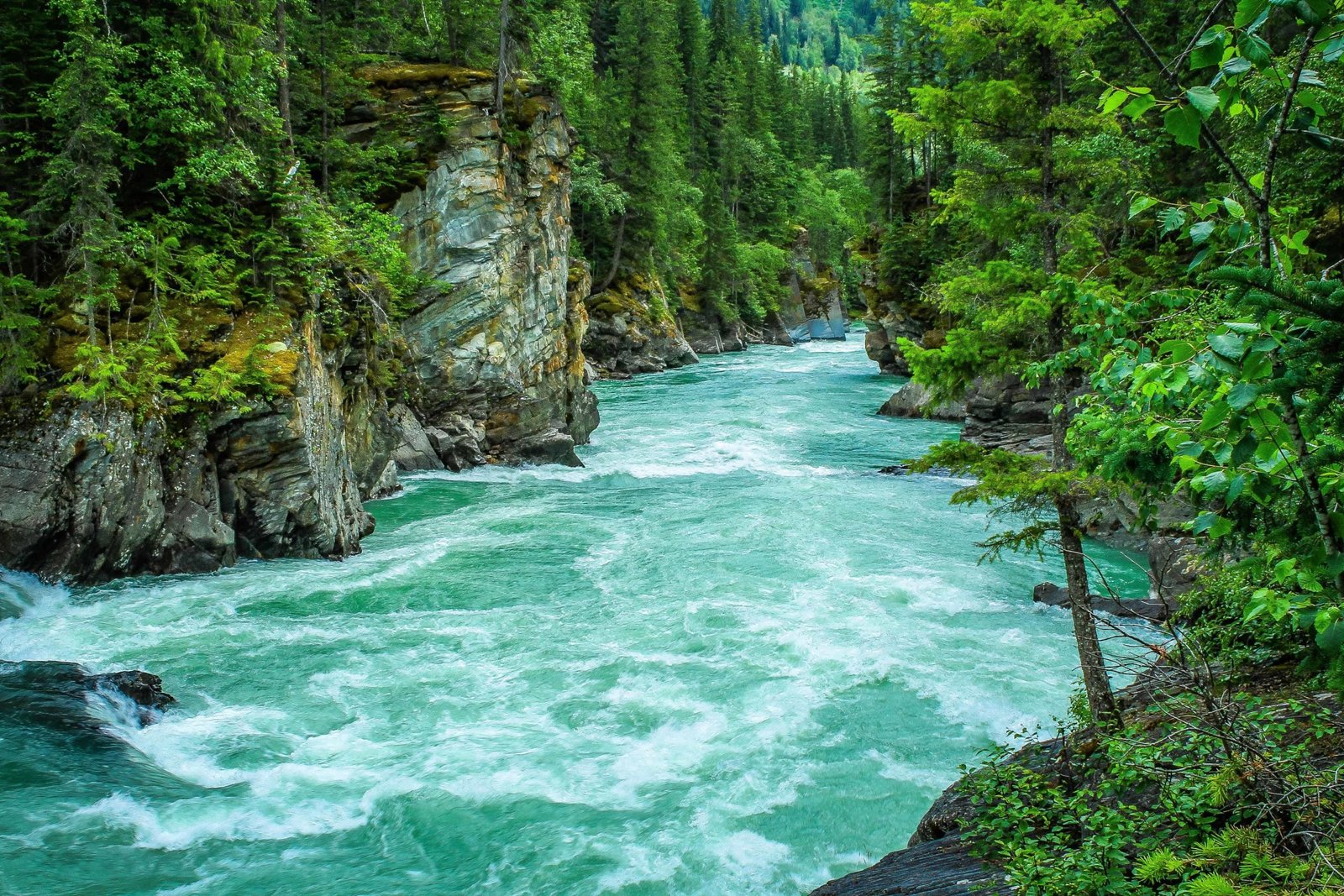Beautiful Nature DP