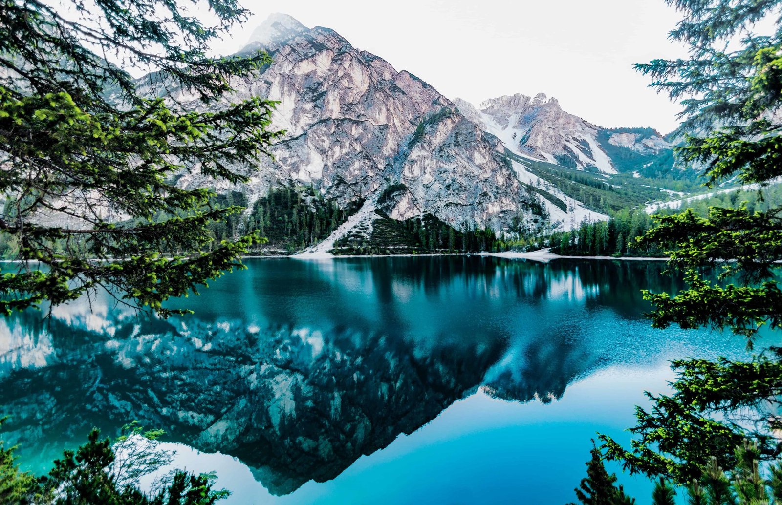 Beautiful Nature DP