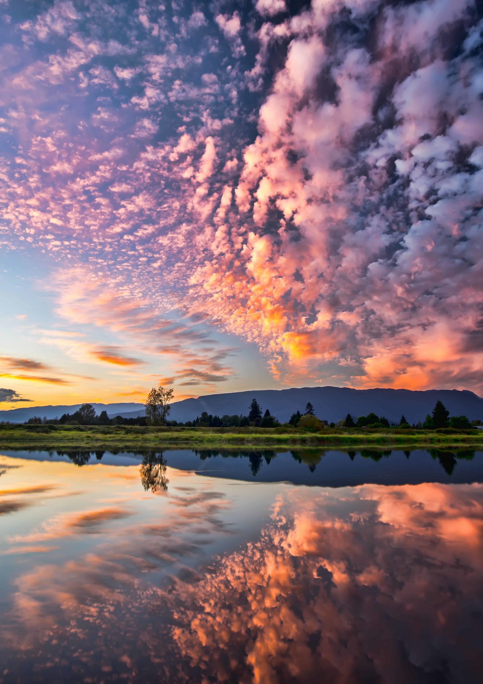 Best Nature DP