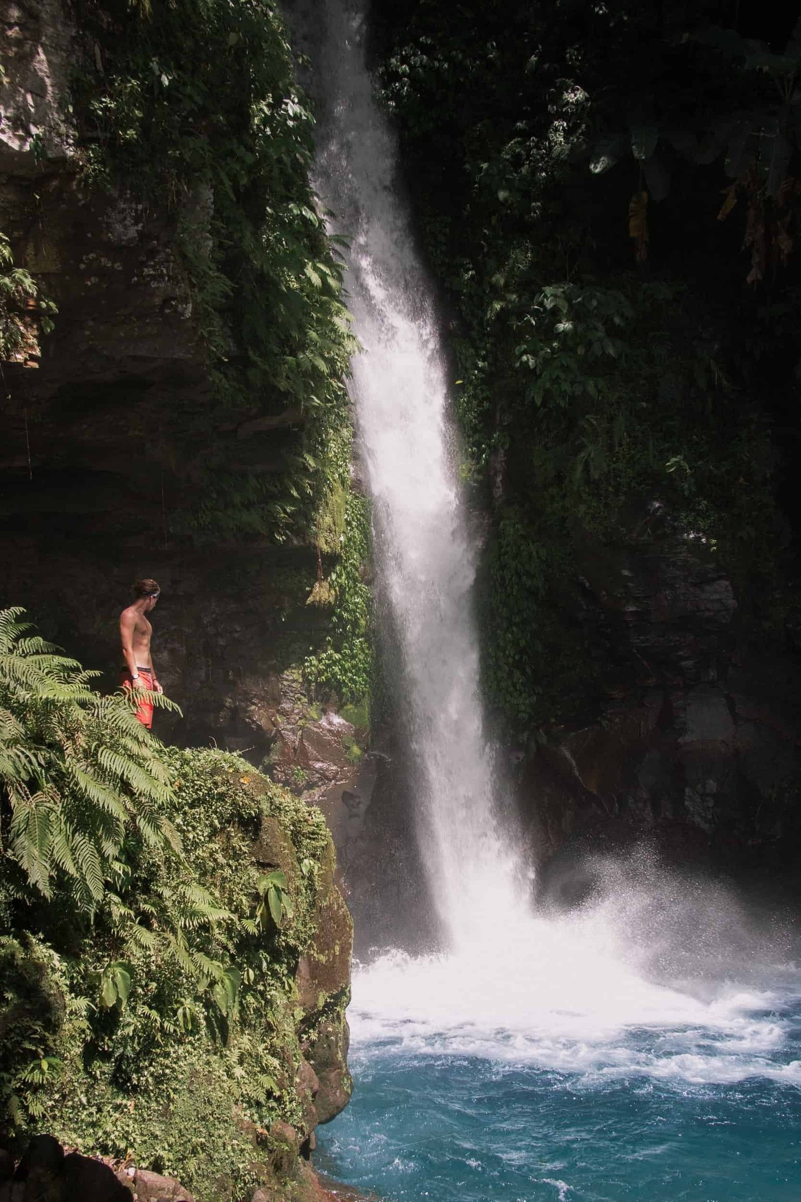 Best Nature DP