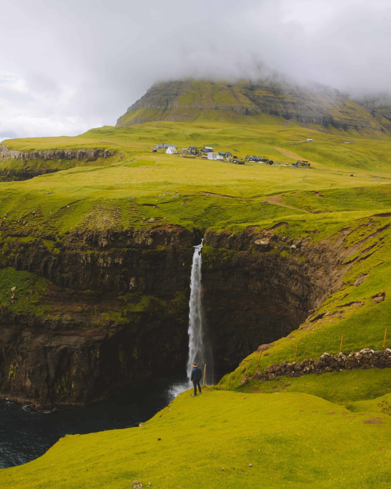 Nature DP Images