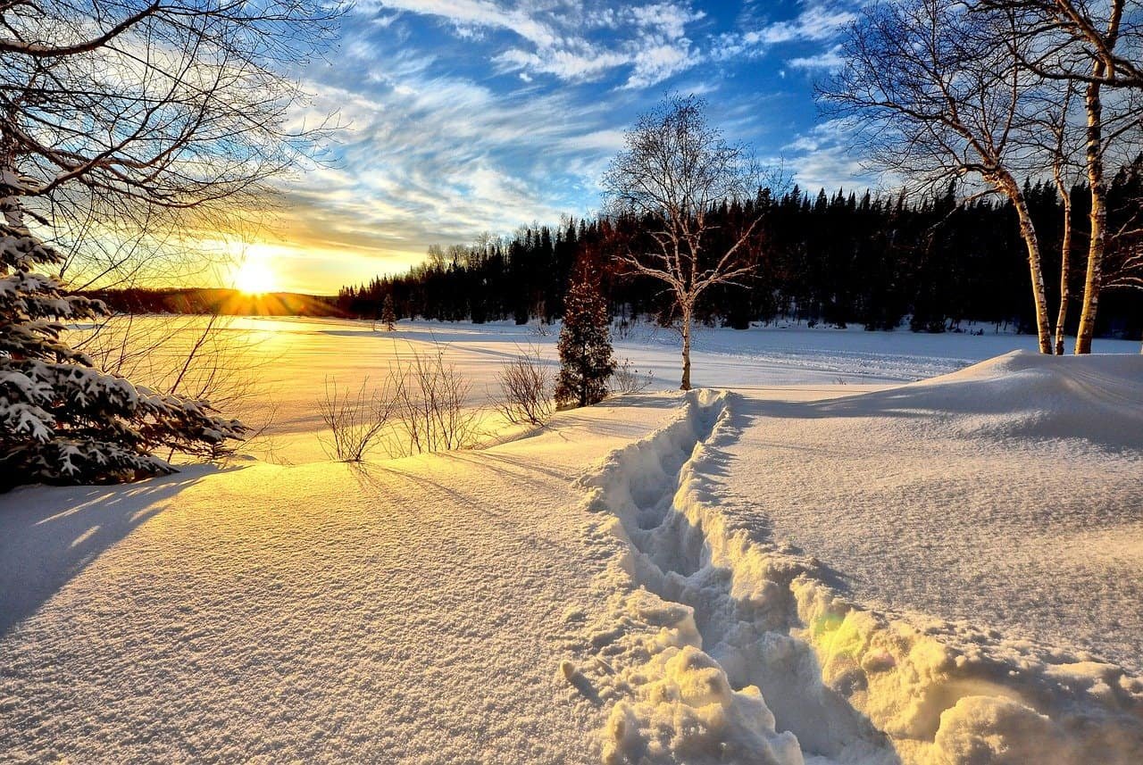 Nature DP Pic