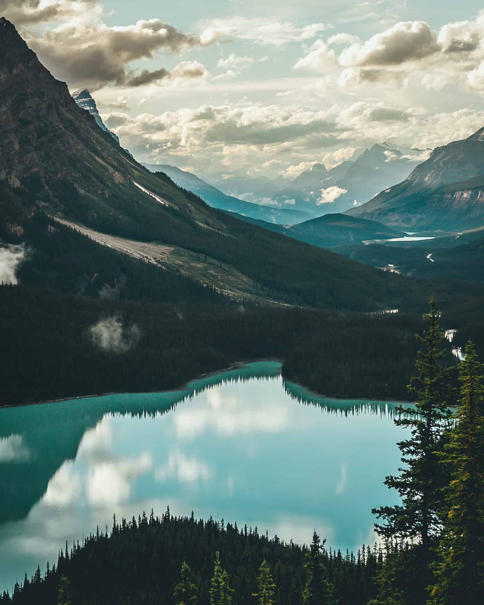 Nature DP Photo