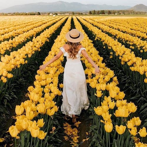 Nature DP Photo