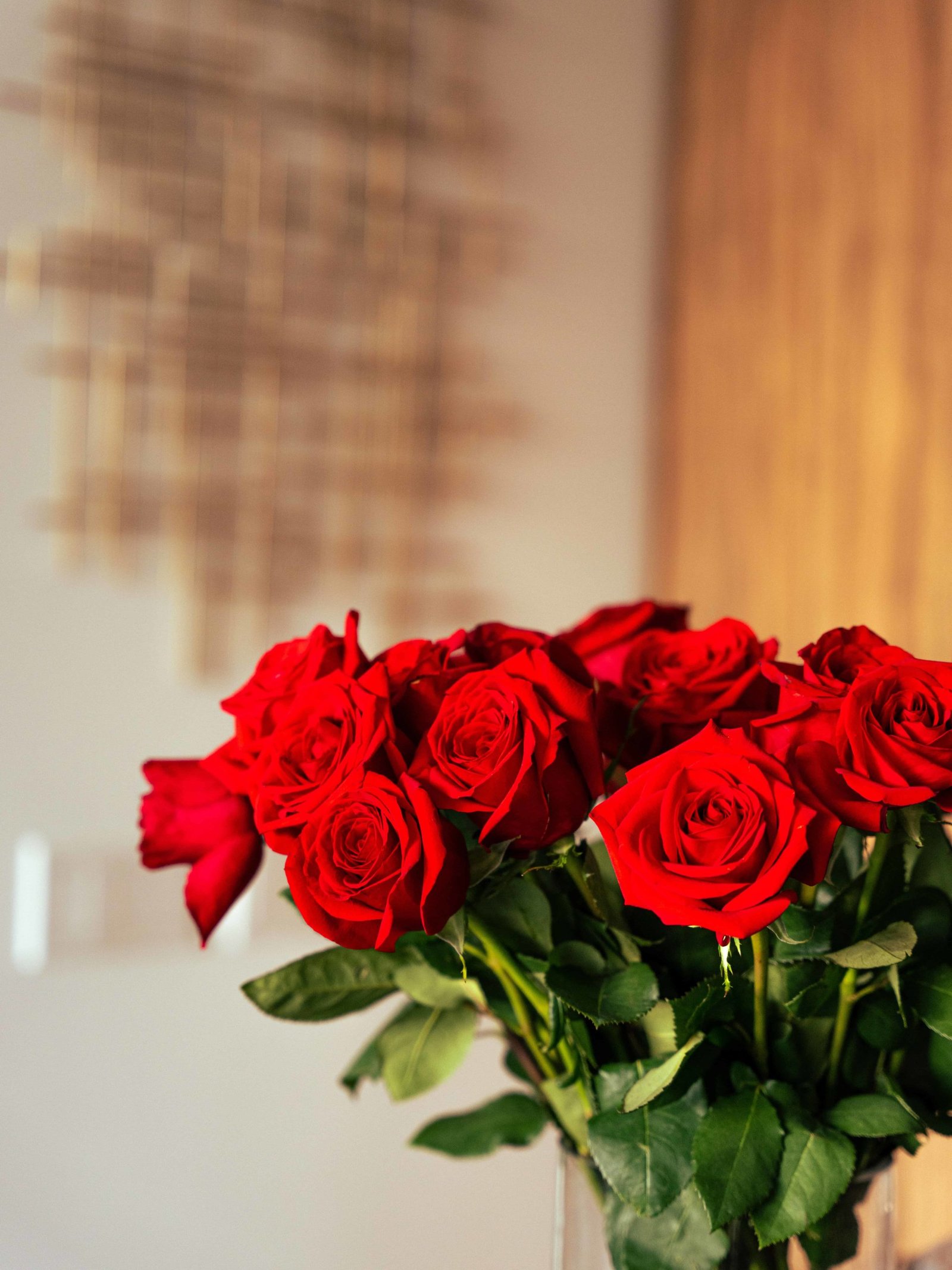 Rose DP Pic