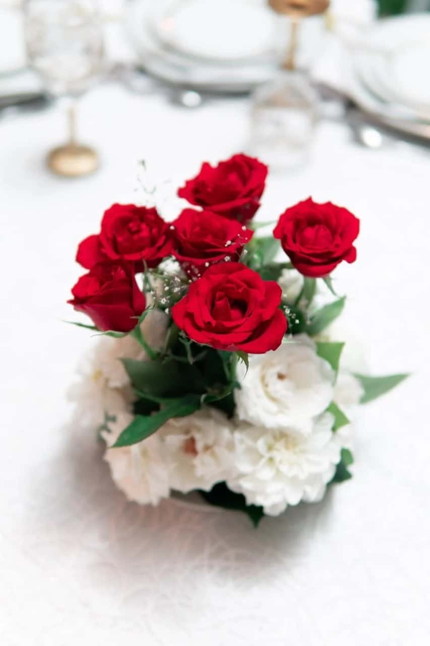 Rose DP Images