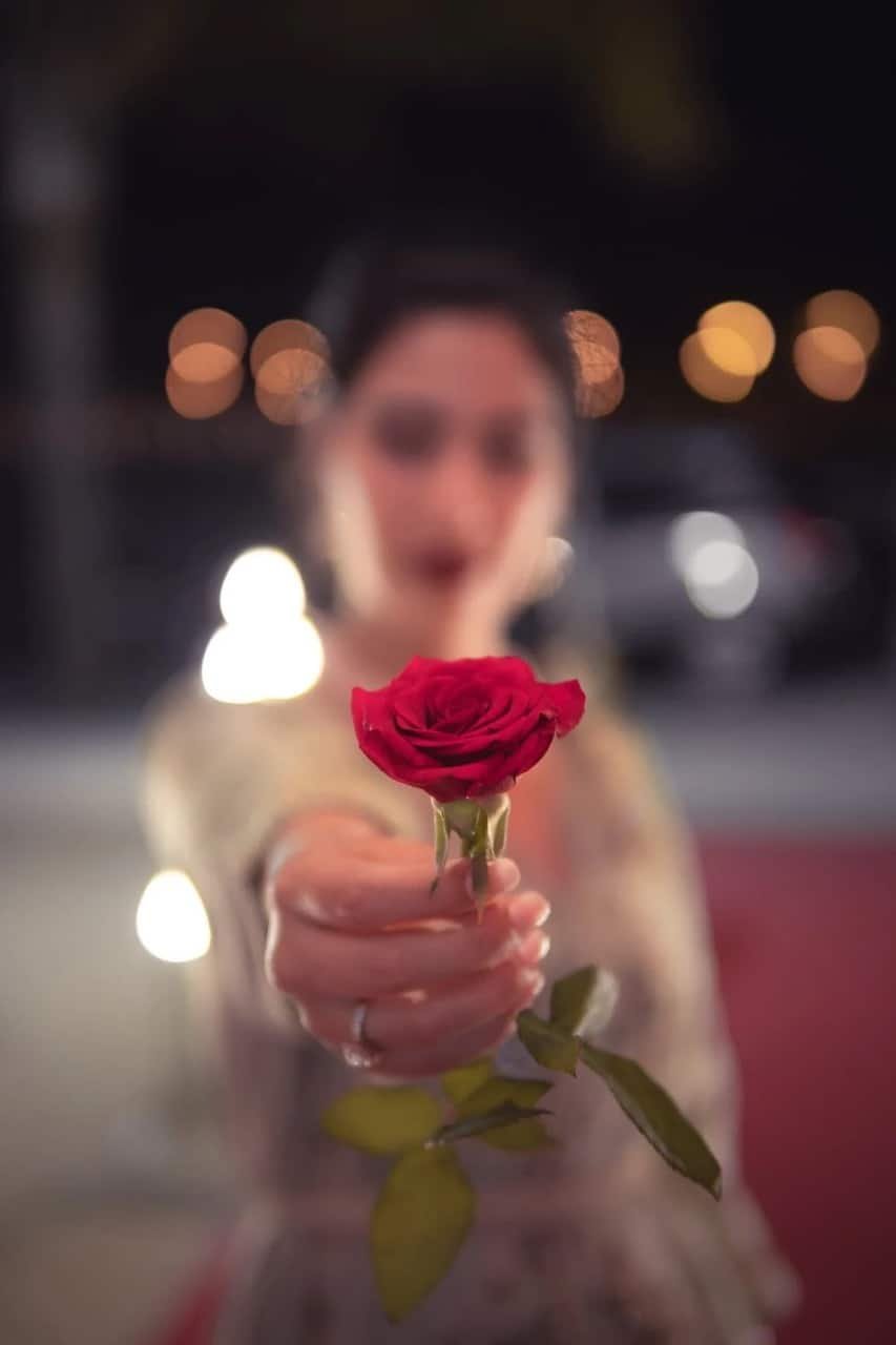 Stylish Rose DP