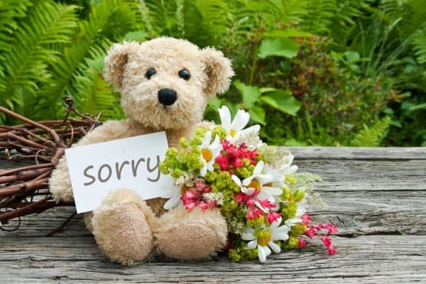Cute Sorry Images