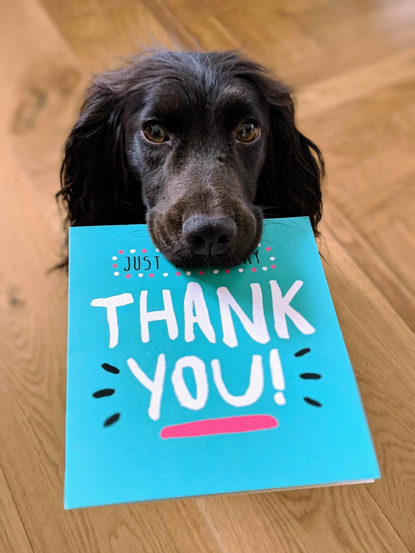 Grateful Thank You Images